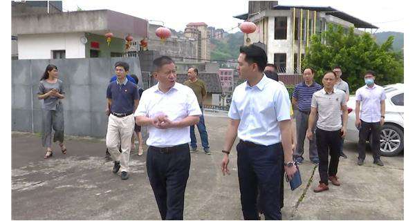 郑县长一行莅临球王会体育在线-球王会体育在线平台(中国)指导调研